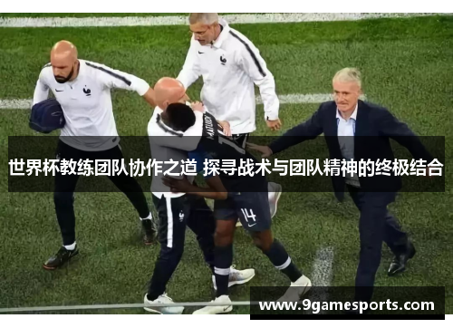 世界杯教练团队协作之道 探寻战术与团队精神的终极结合