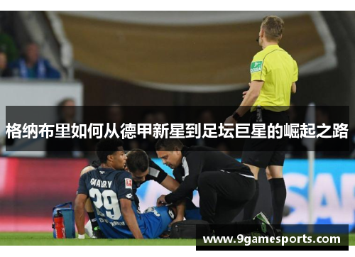 格纳布里如何从德甲新星到足坛巨星的崛起之路 格纳布里如何从德甲新星到足坛巨星的崛起之路