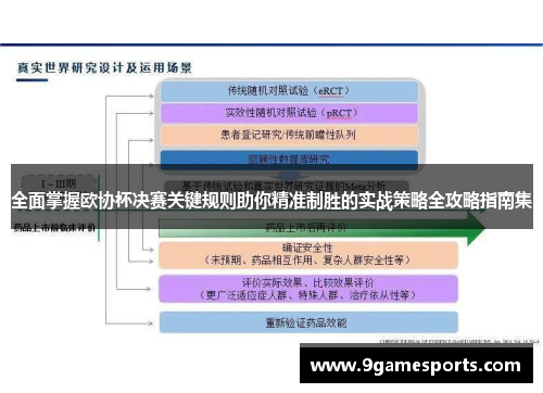 全面掌握欧协杯决赛关键规则助你精准制胜的实战策略全攻略指南集